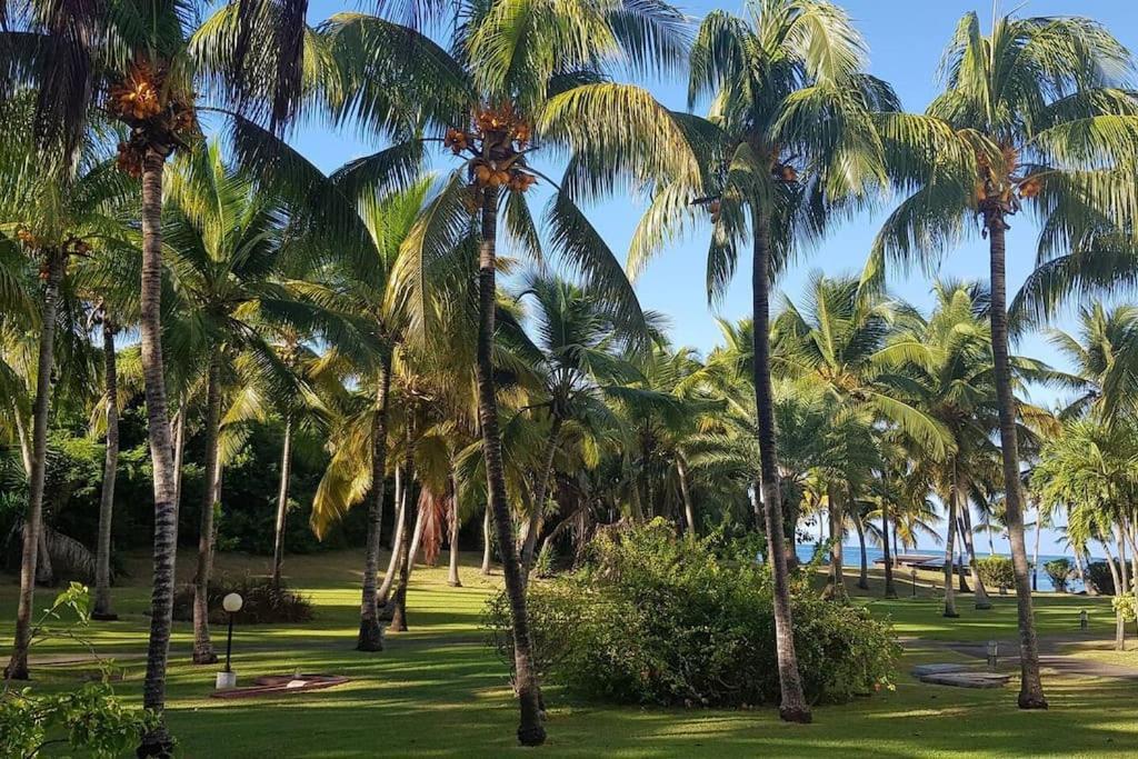 Karibeko : Exceptionnel & Rare : Plage , Piscine, Wifi Prive Saint-Francois (Grande-Terre) Exterior foto