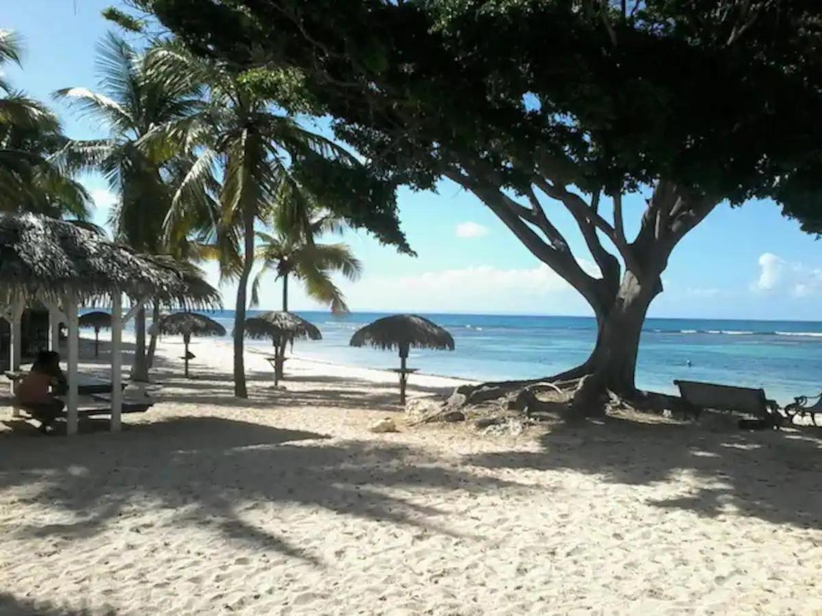 Karibeko : Exceptionnel & Rare : Plage , Piscine, Wifi Prive Saint-Francois (Grande-Terre) Exterior foto